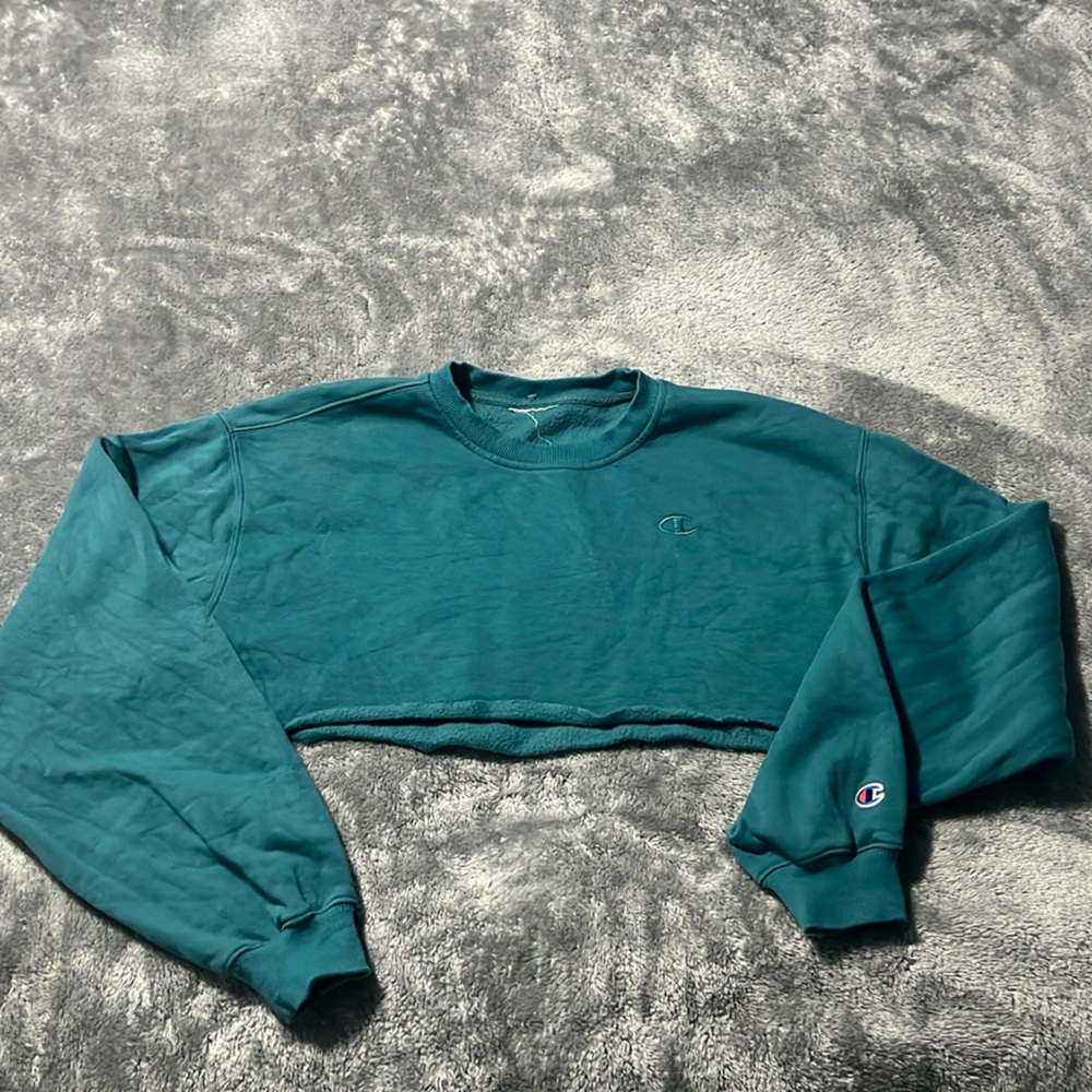 Champion crop sweater.